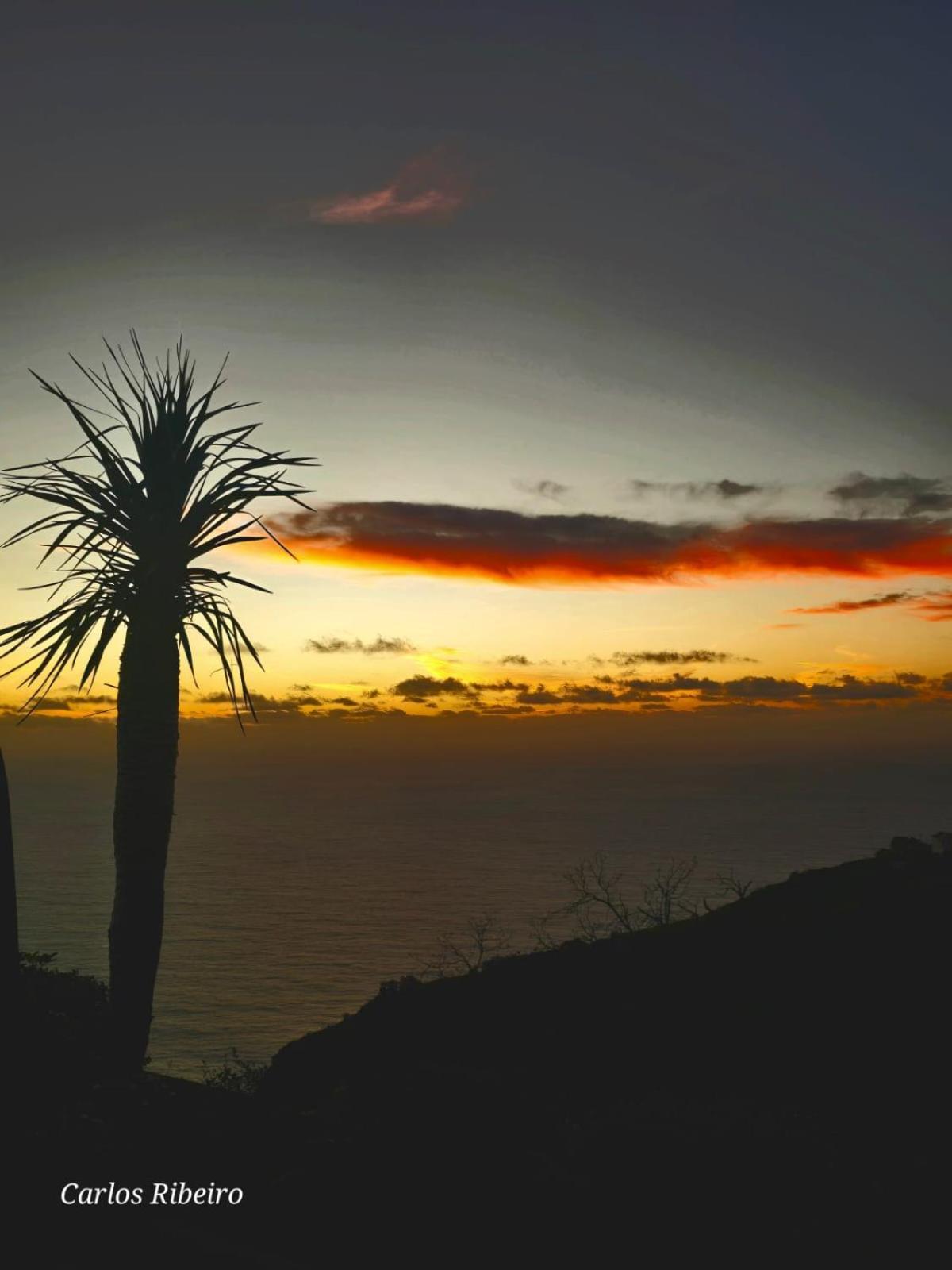 Sunset Refuge Lejlighed Fajã da Ovelha Eksteriør billede